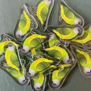 Senegal Acrylic Shaker Pieces