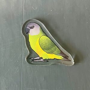 Alternative view of Senegal Acrylic Shaker Pieces