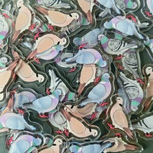 Pigeon-Dove Acrylic Shaker Pieces