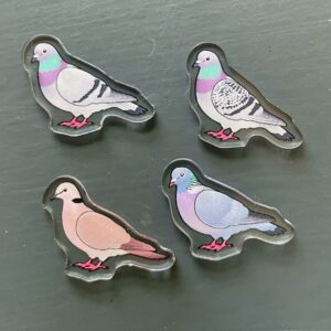Pigeon-Dove Acrylic Shaker Pieces - Image 3