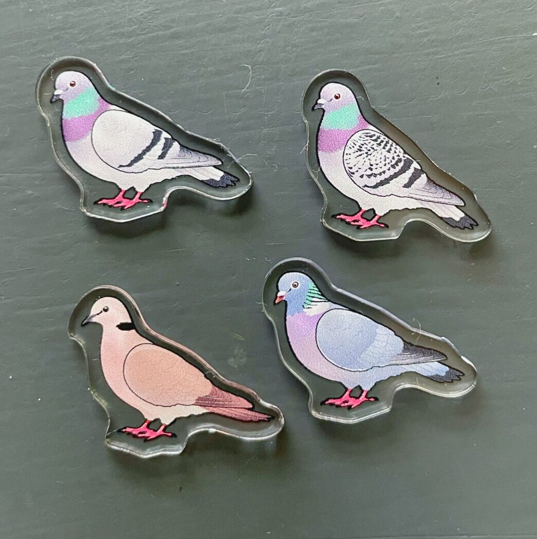 Pigeon-Dove Acrylic Shaker Pieces - Image 3