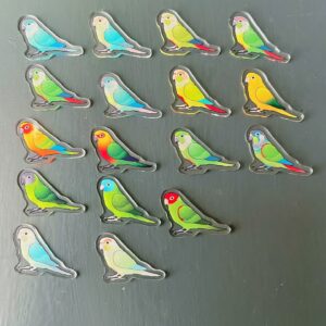 Conure Acrylic Shaker Pieces - Image 3