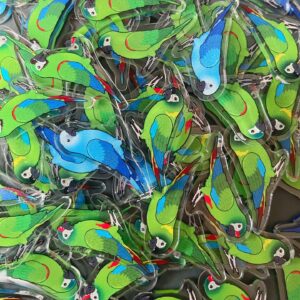 Mini macaw Acrylic Shaker Pieces