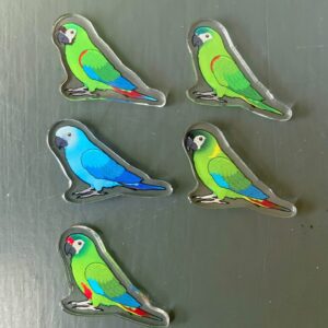 Mini macaw Acrylic Shaker Pieces - Image 3